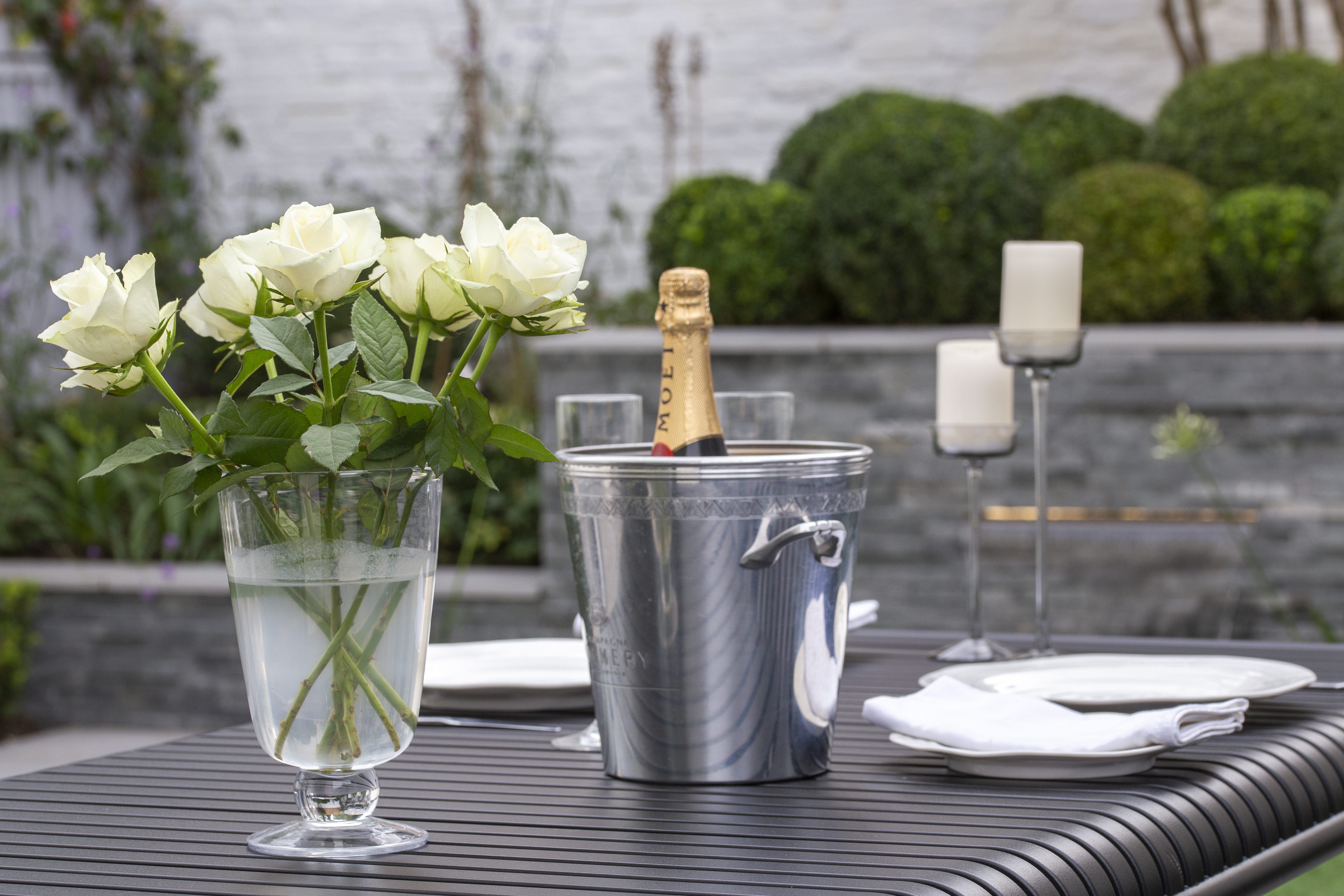 Christmas Newsletter 2018 Small Quayside Garden Maldon Celebration Champagne
