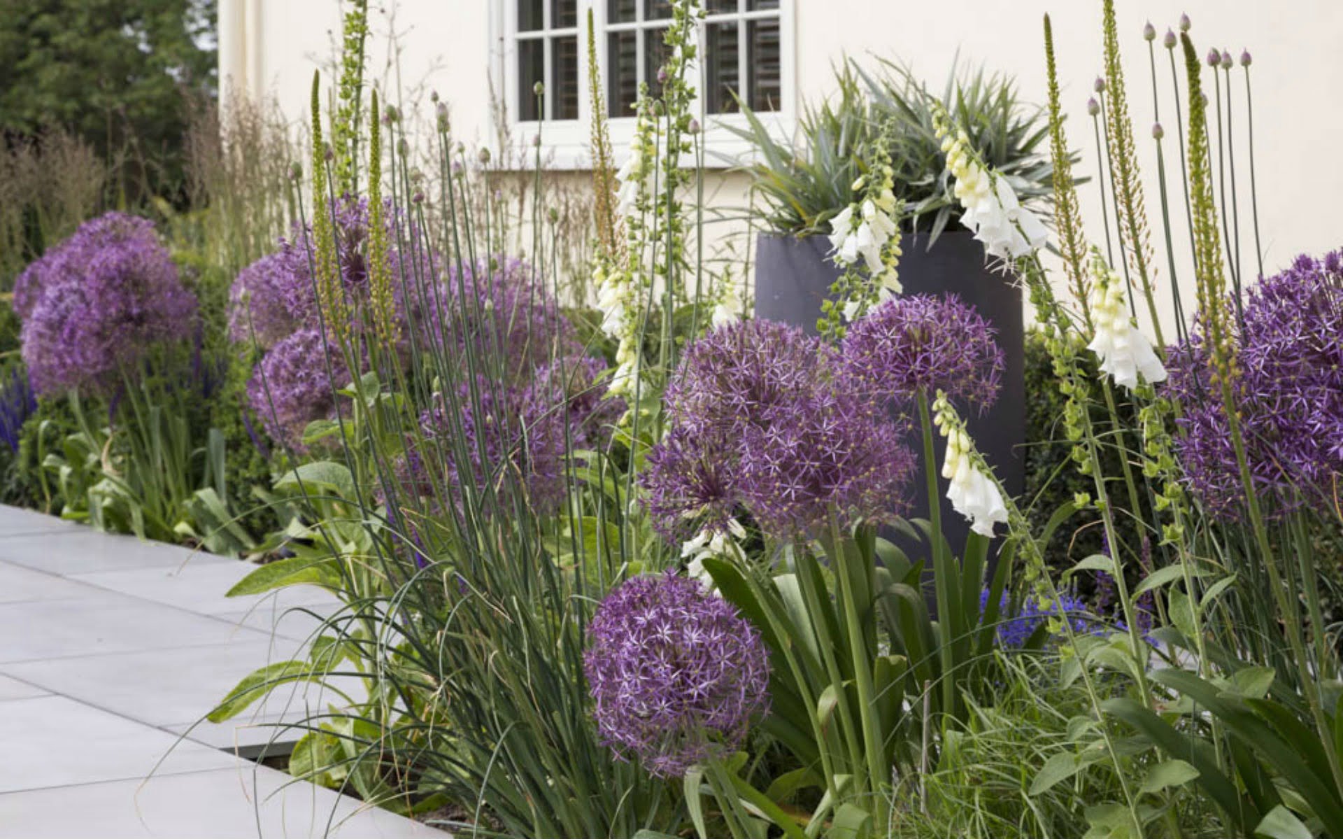 Portfolio BALI Award Winning Contemporary Garden Hatfield Peverel Essex Outbuilding Outdoor Kitchen