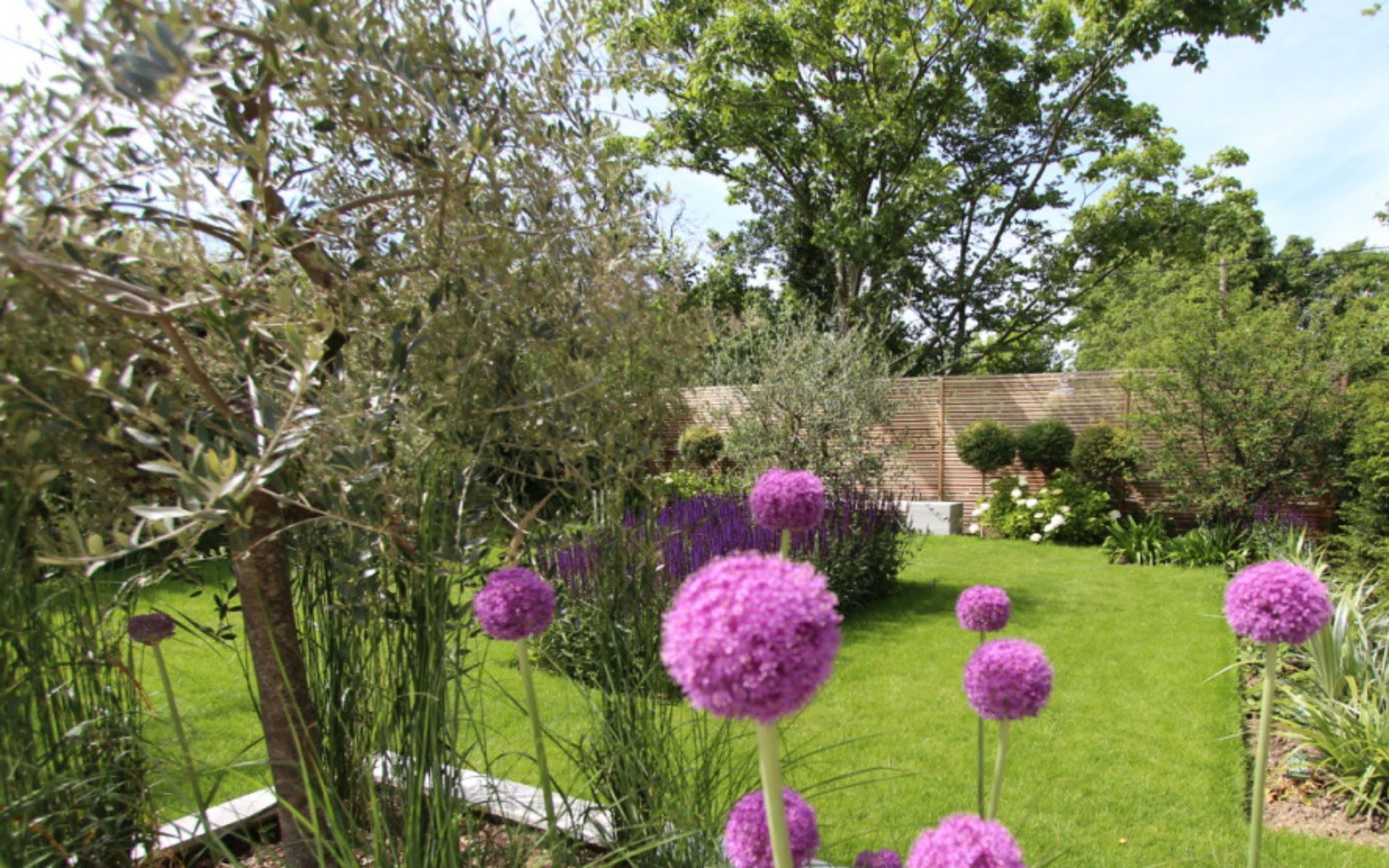 Portfolio Contemporary Front Garden Little Baddow Essex Alliums