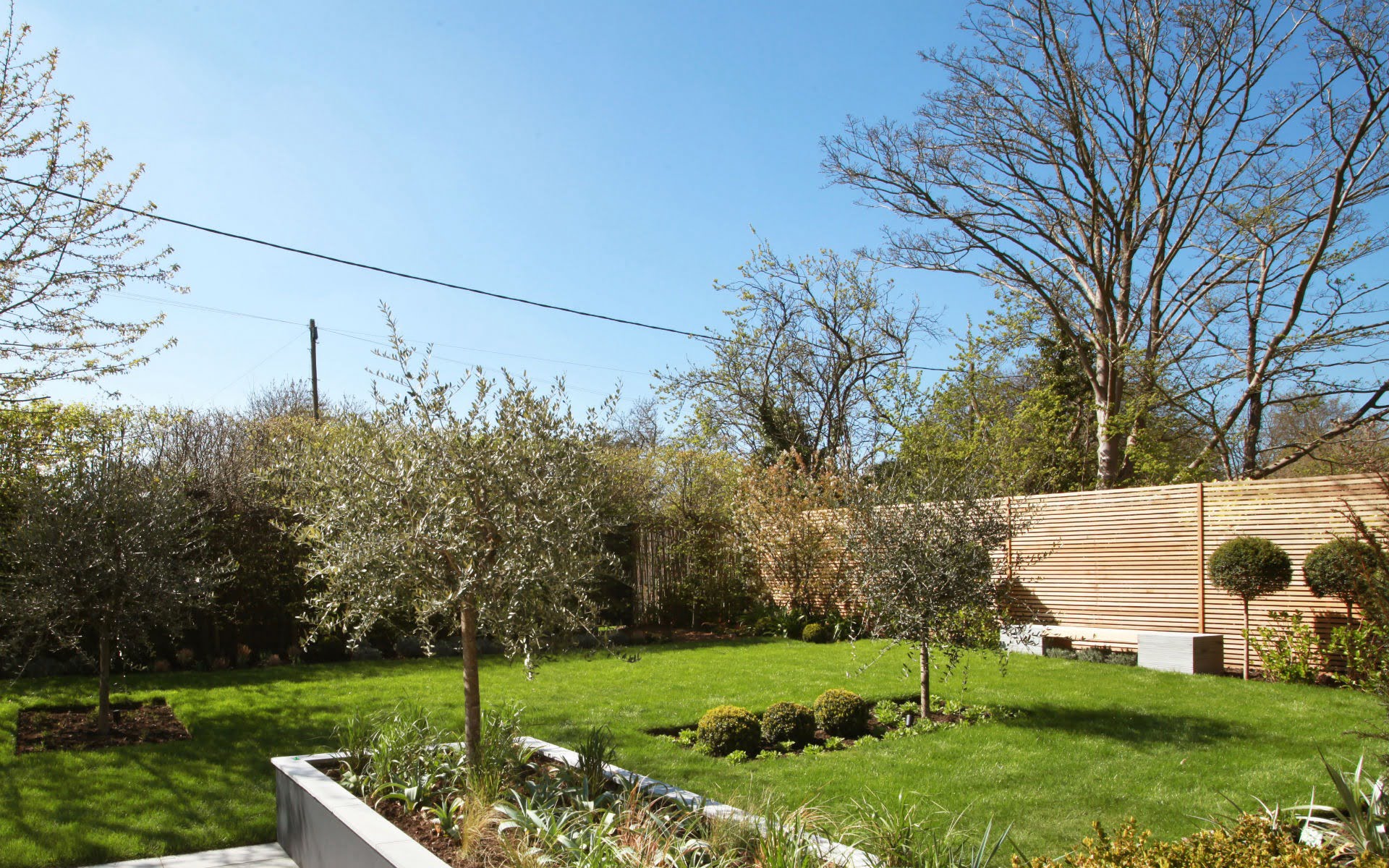 Portfolio Contemporary Front Garden Design Little Baddow Essex Olives Raised Bed Planters Bespoke Seating