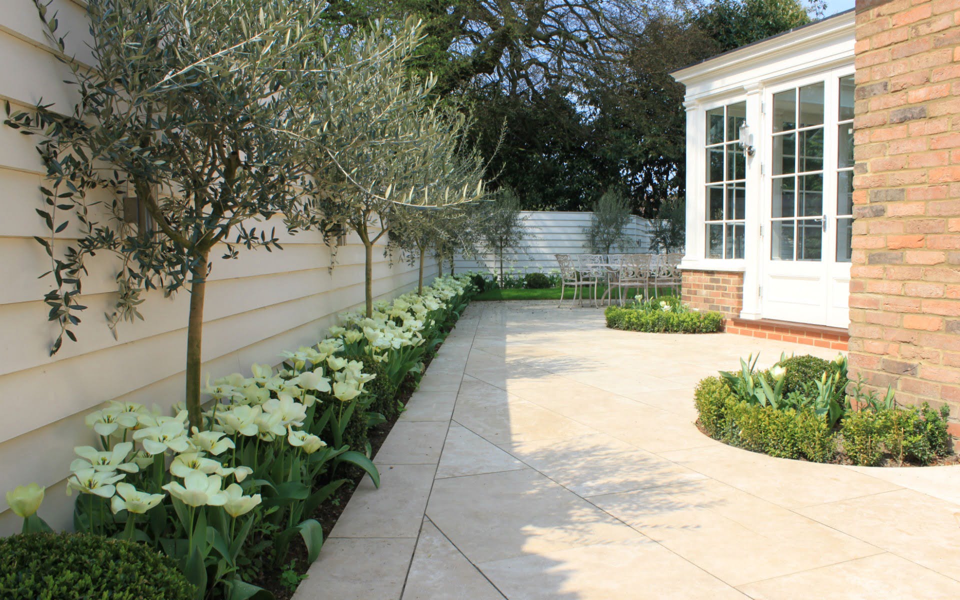 Portfolio Contemporary New England Garden Side Patio Olives Tulips White Closeboard Fencing