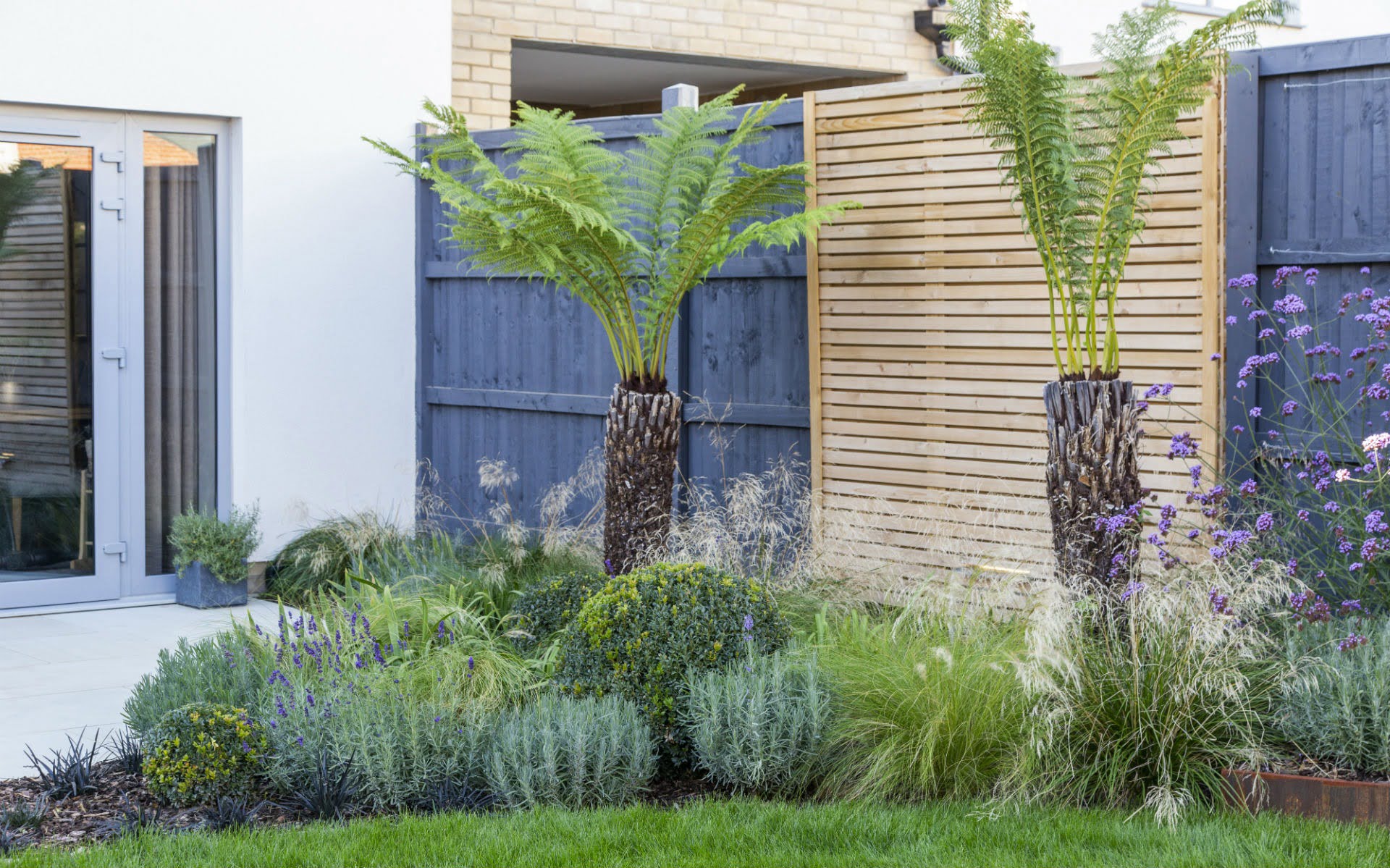 Portfolio Small Urban Garden Beaulieu Essex Tropical Planting Ferns