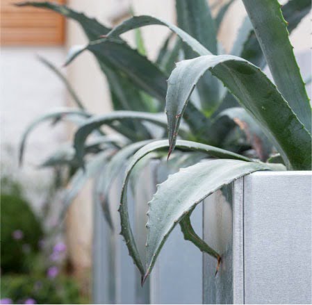 best garden designers in Essex