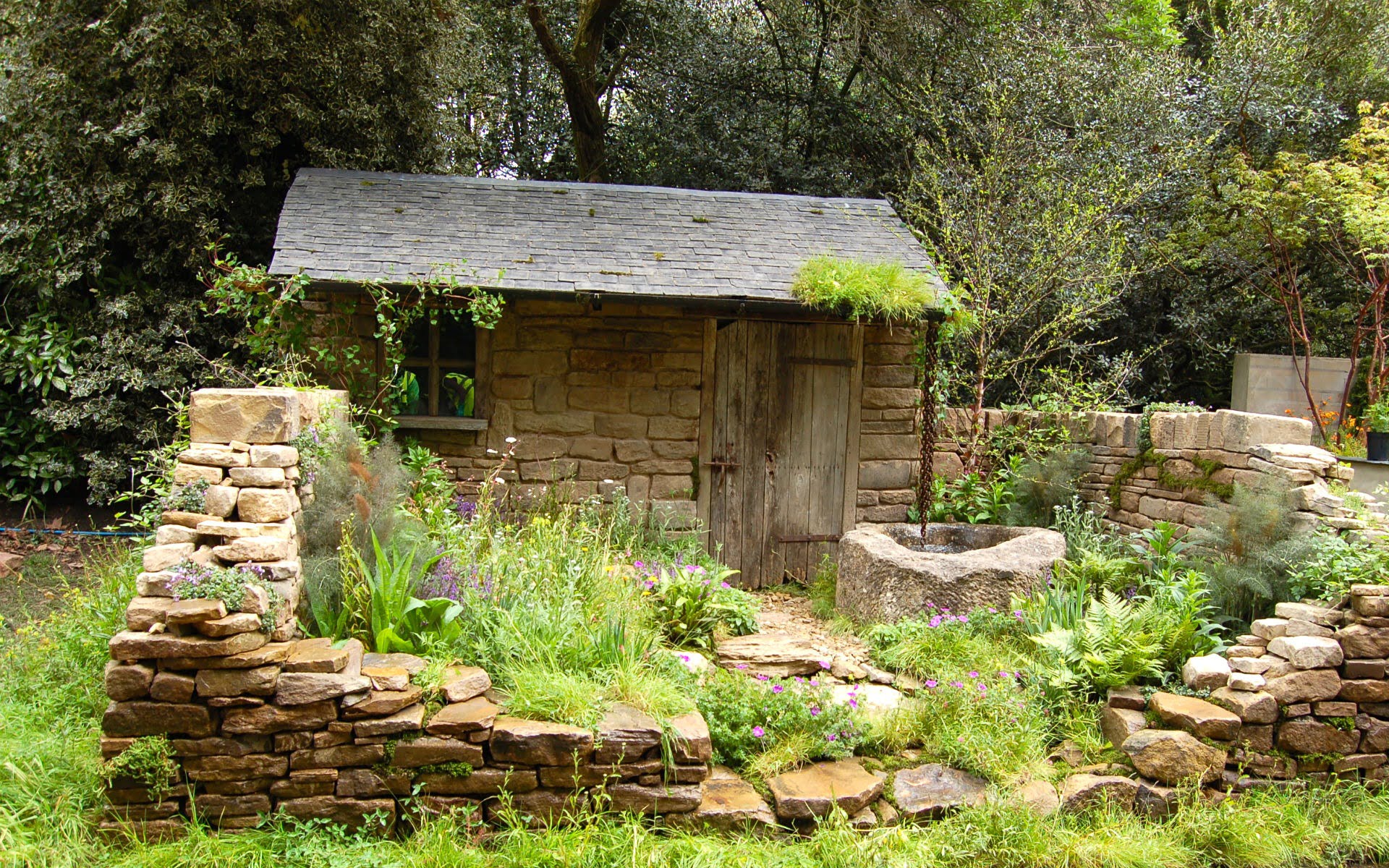 RHS Chelsea Flower Show 2012 Naturally Dry Garden for Veolia Water Silver Award