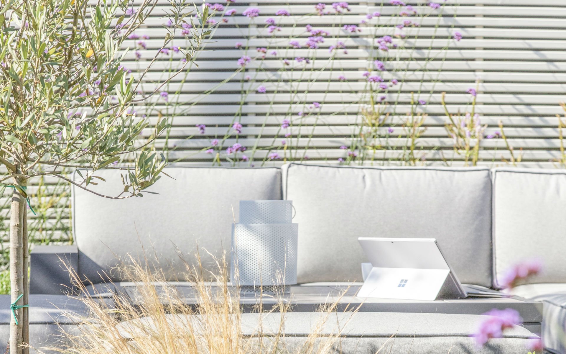 Small Urban Contemporary Garden Essex