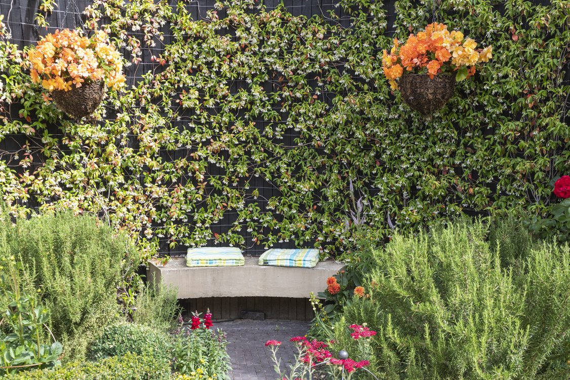 Contemporary Outdoor Living Wickham Bishops. Design and Build Cube 1994 Ltd. Bespoke Seating