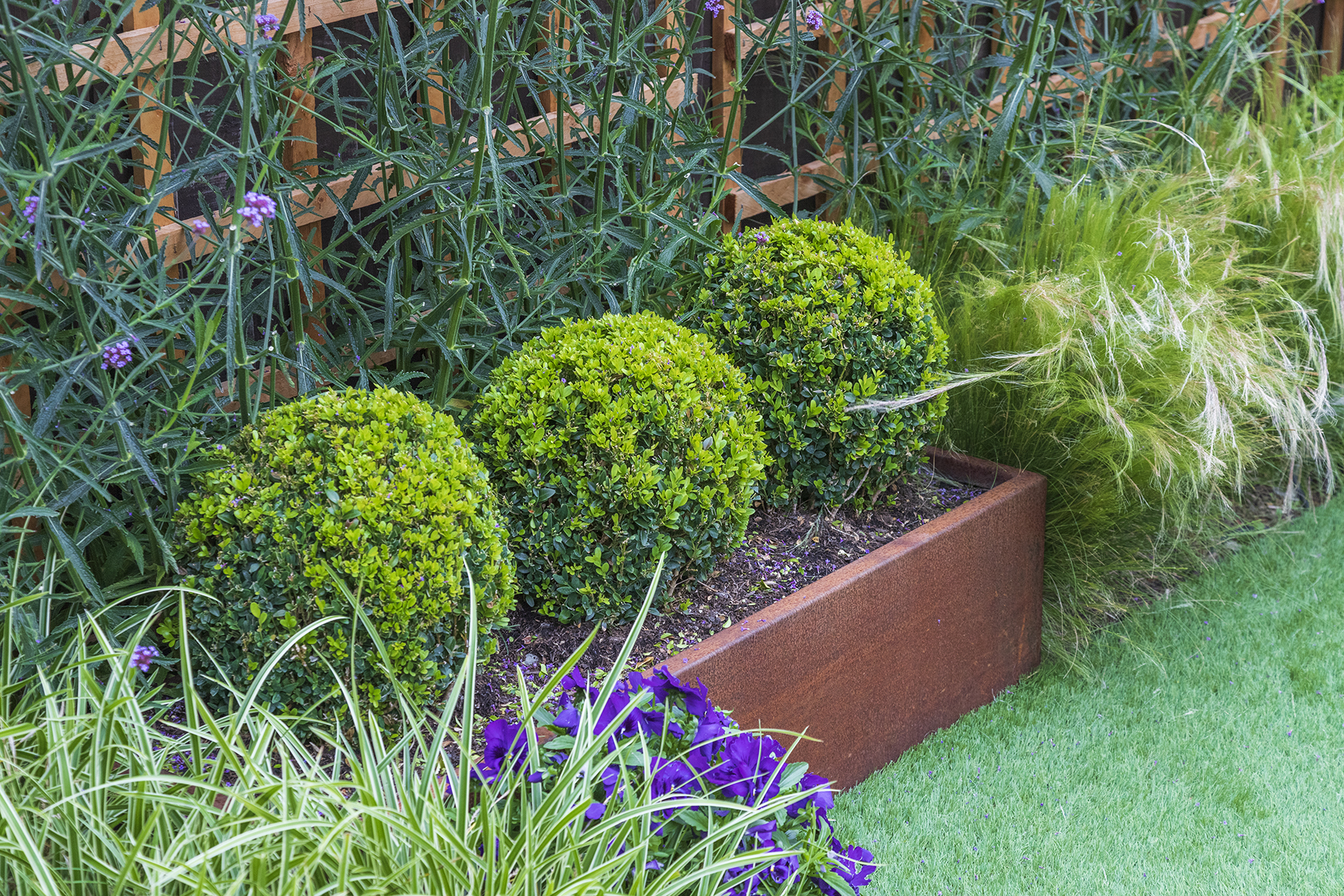 Small Urban Contemporary Garden, Sawbridgeworth Essex. Design and Build Cube 1994. Corten steel planter
