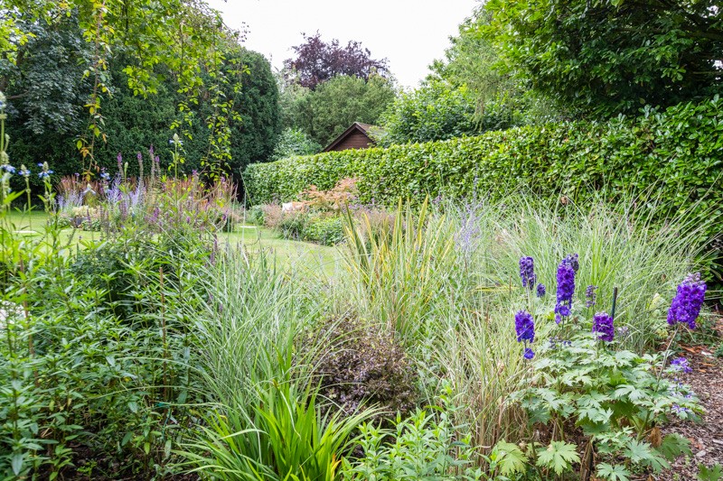 Contemporary View, Chelmsford Essex. Design and Build Cube 1994 Ltd. Woodland Planting, Hedging