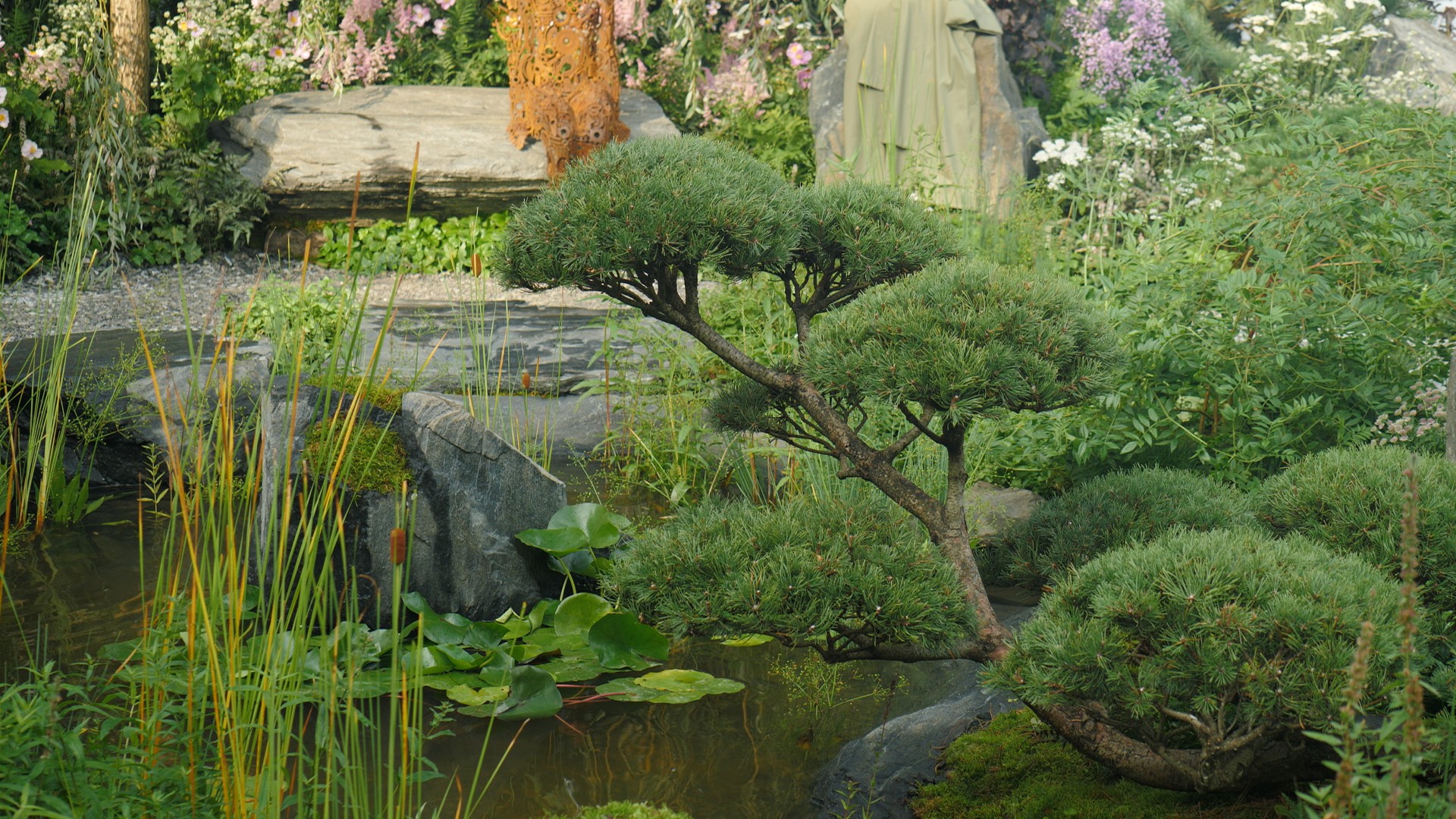 RHS CHELSEA FLOWER SHOW 2021 BONSAI