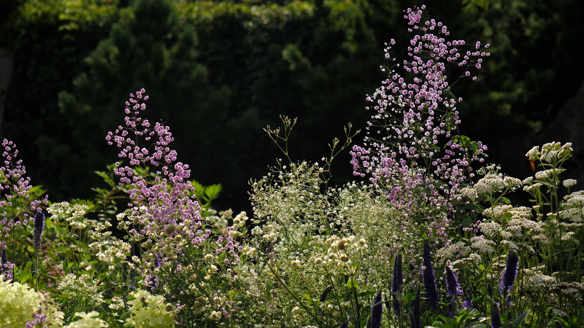 RHS CHELSEA FLOWER SHOW 2021 PLANTING