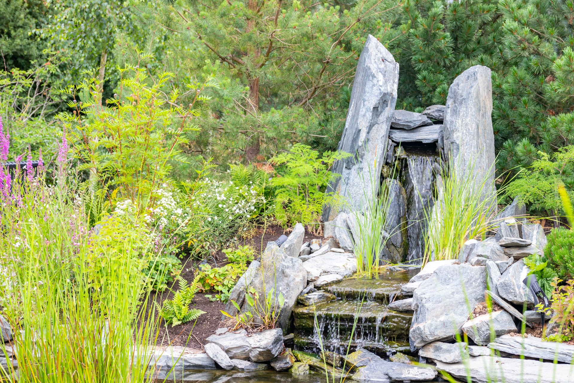 RHS Chelsea Award Winning Garden at Chelmsford Ambulance Station Rock Water Feature