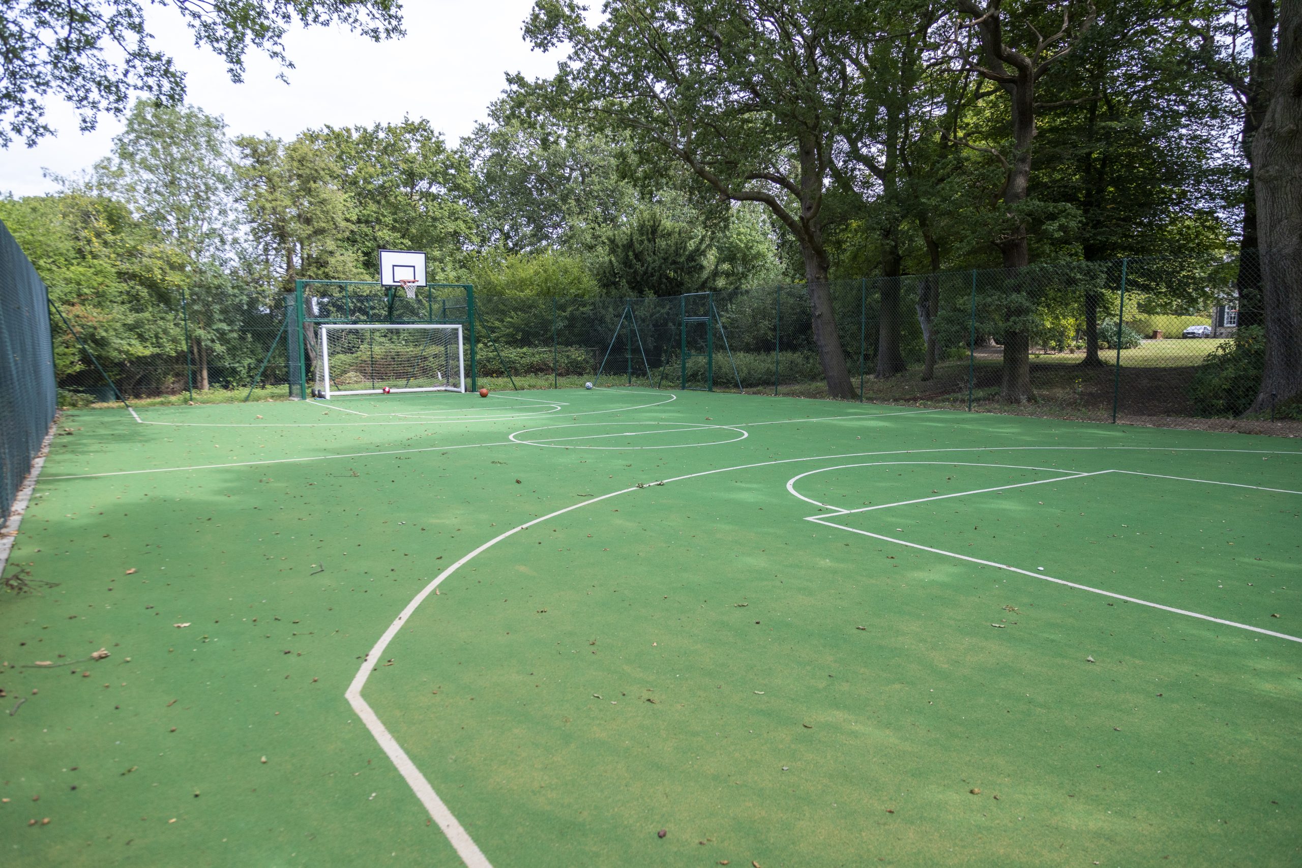 Large Woodland Garden Room Sports Pitch Area