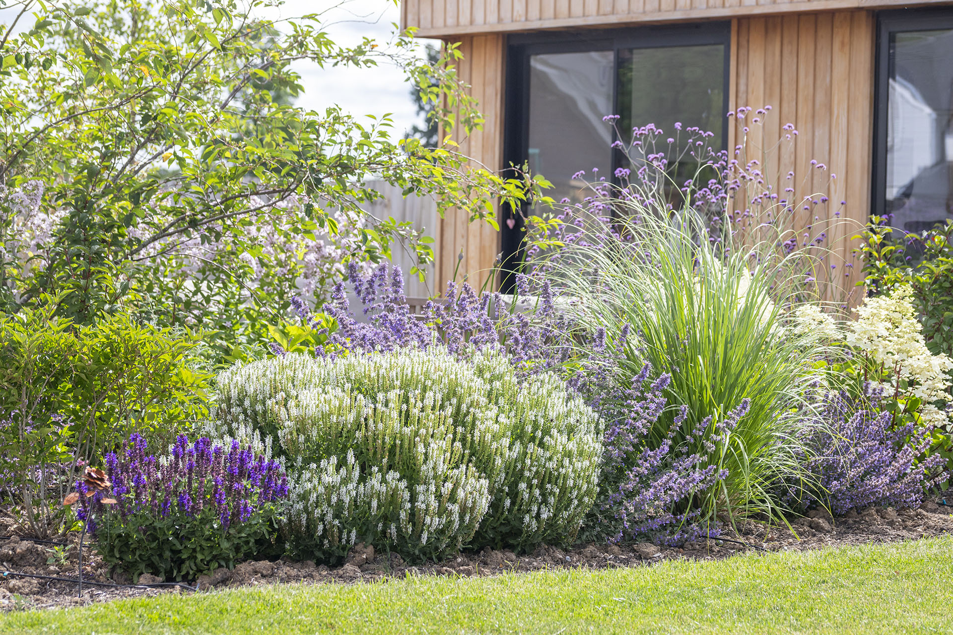 Cube 1994 Garden Design and Landscaping Garden Office Building High Impact Planting